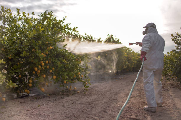 Best Pest Control Near Me  in Garrison, TX