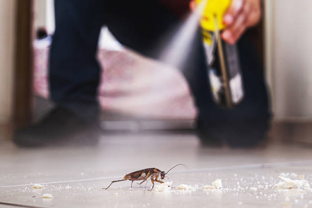 Best Ant Control Services  in Garrison, TX